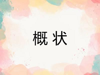 概状