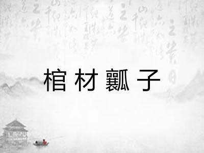 棺材瓤子