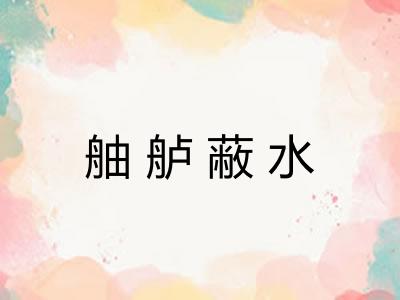 舳舻蔽水