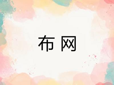 布网