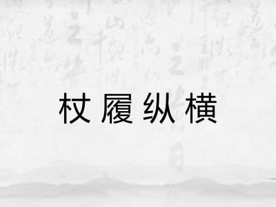 杖履纵横