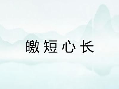 皦短心长