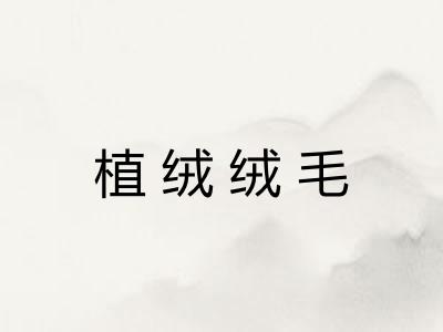 植绒绒毛