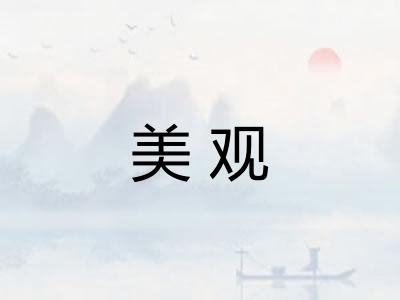 美观