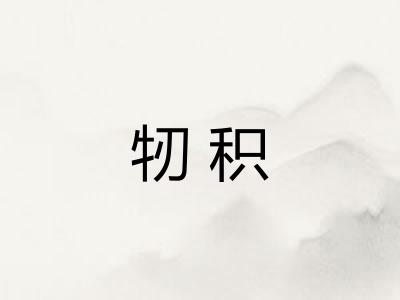 牣积