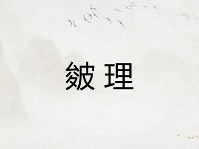 皴理