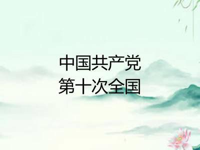 中国共产党第十次全国代表大会
