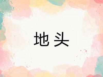 地头