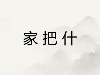 家把什