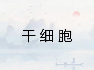干细胞