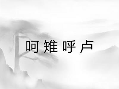 呵雉呼卢