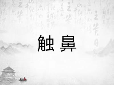 触鼻