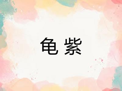 龟紫
