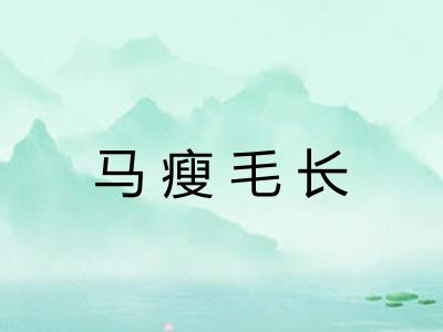 马瘦毛长