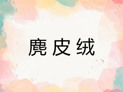 麂皮绒