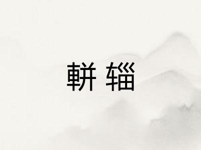 軿辎