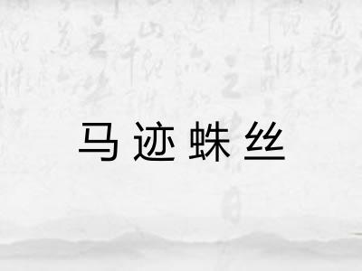 马迹蛛丝
