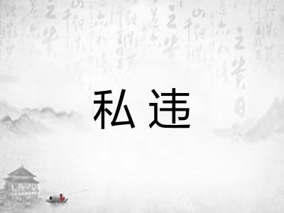 私违