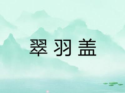 翠羽盖