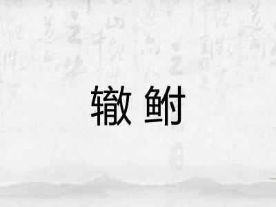 辙鲋