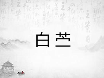 白苎