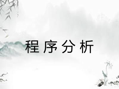 程序分析