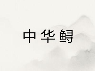 中华鲟
