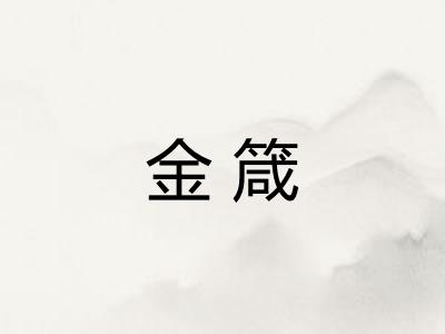 金箴