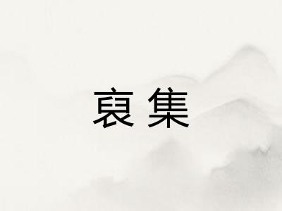 裒集