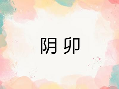 阴卯
