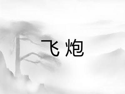 飞炮