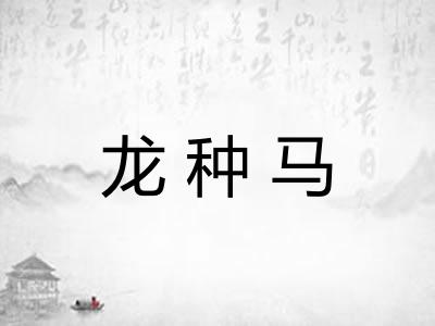 龙种马