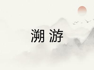 溯游