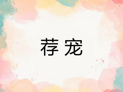 荐宠