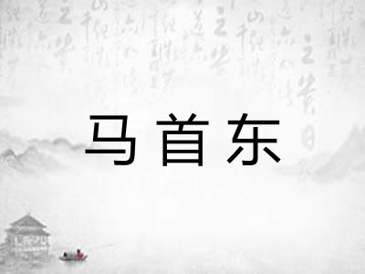 马首东