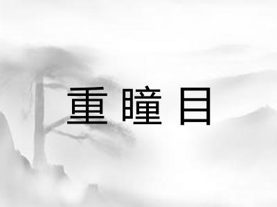 重瞳目