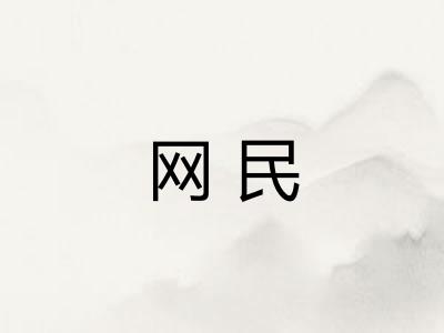 网民