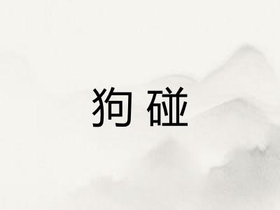 狗碰