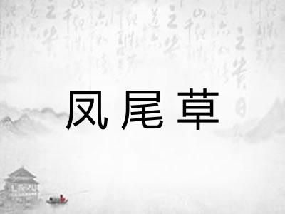 凤尾草