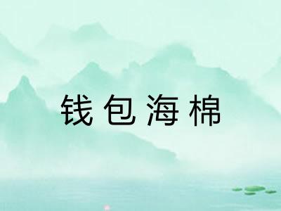 钱包海棉