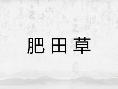 肥田草