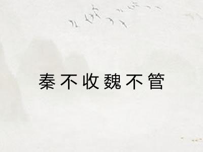 秦不收魏不管