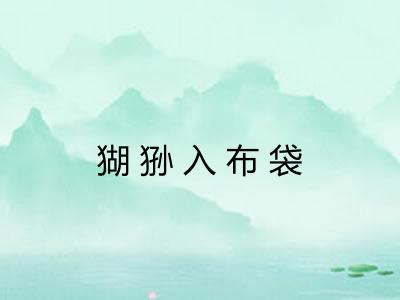 猢狲入布袋