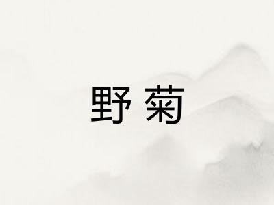 野菊