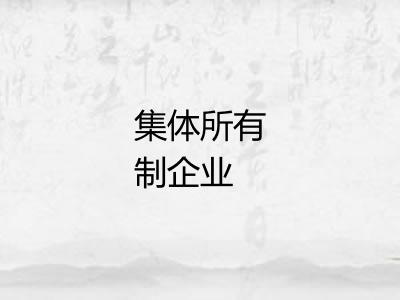 集体所有制企业