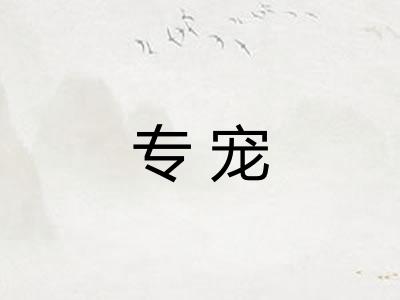 专宠