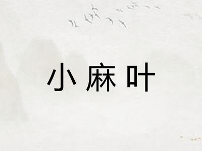 小麻叶