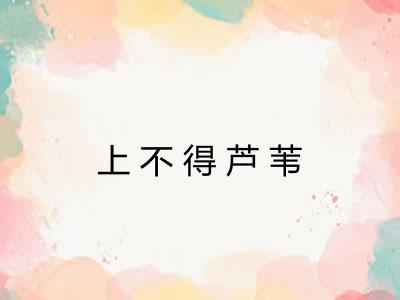 上不得芦苇