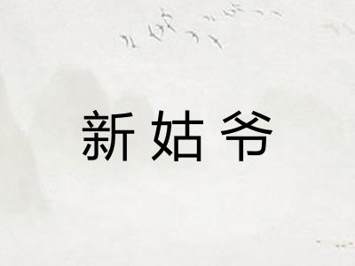 新姑爷