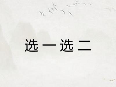 选一选二